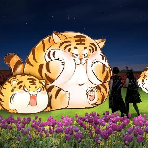 在成都，与王老师摄影共赴光影之约