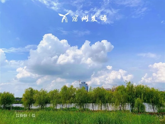 在宿州，邂逅成都王老师摄影的奇妙之旅