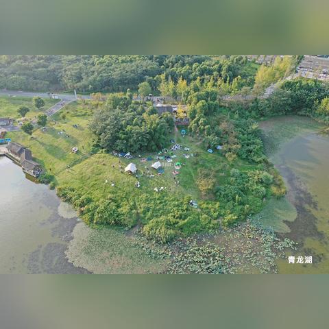 在成都王老师摄影，开启摄影网络培训班的奇妙之旅