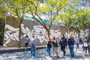 从成都到深圳，王老师摄影的奇妙之旅