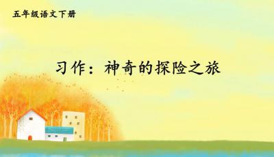 在成都王老师摄影，探索摄影学习的奇妙 PPT 之旅