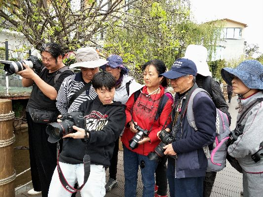 从成都到北京，王老师摄影的奇妙之旅与拍照培训班的魅力