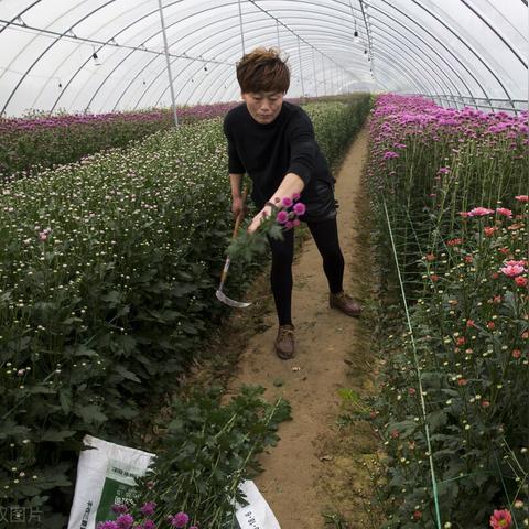 济南短视频培训,成都王老师摄影来助力! 济南短视频培训,成都王老师摄影来助力!
