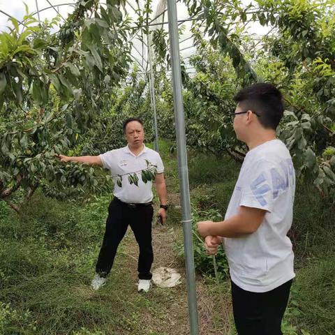 在成都王老师摄影，探寻摄影后期的奇妙世界