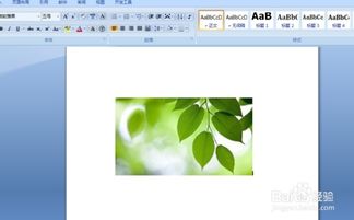 怎么拍照片打印出来不黑? 怎么拍照片打印出来不黑?