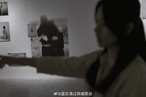 成都王老师摄影，解锁数字神断视频教程全集的奇妙世界