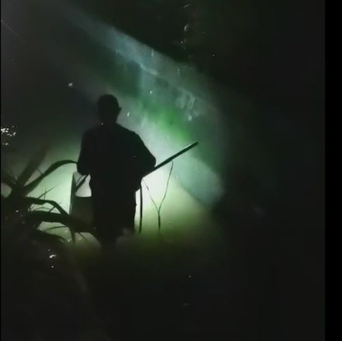 成都王老师摄影，用镜头捕捉美好瞬间
