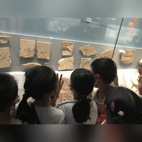 从湖南到成都，摄影的奇妙之旅——成都王老师摄影