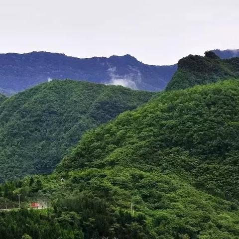 跟随成都王老师摄影，用镜头捕捉旅行的美好