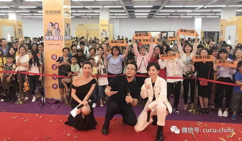 在成都王老师摄影，发现编导摄影的无限魅力
