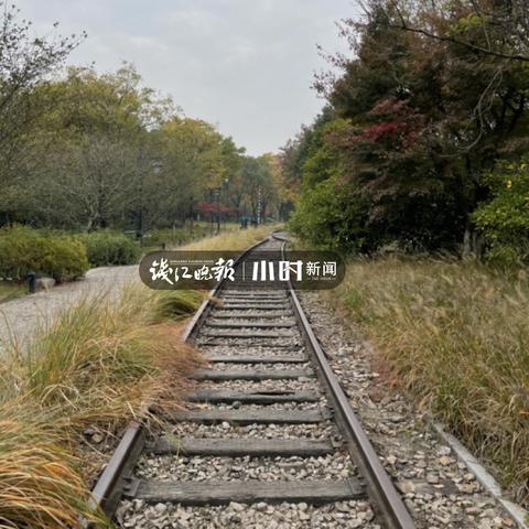 用什么相机拍照好看自然