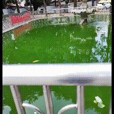 用什么相机拍照好看自然