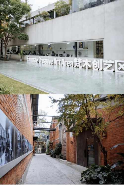 跟着成都王老师摄影，探秘摄影大专院校的光影世界