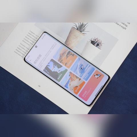 现场拍照用什么软件