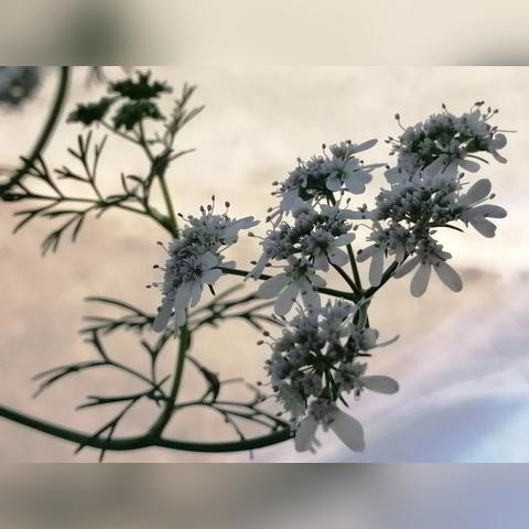 嘿，想学儿童摄影培训班？来瞅瞅成都王老师摄影呀！
