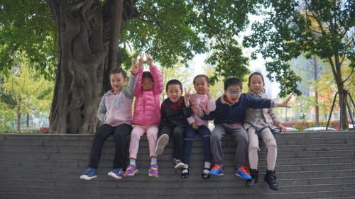 成都王老师摄影，开启梅州摄影培训的奇妙之旅