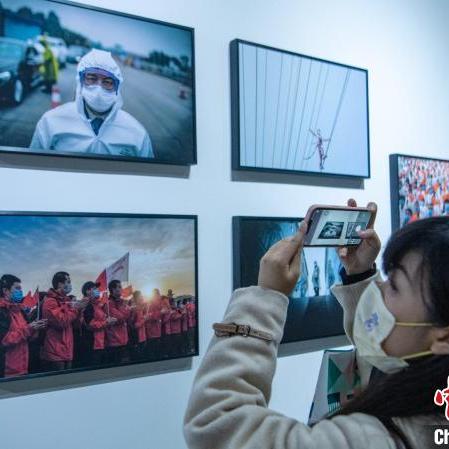 在成都王老师摄影，开启学习摄影师培训的奇妙之旅
