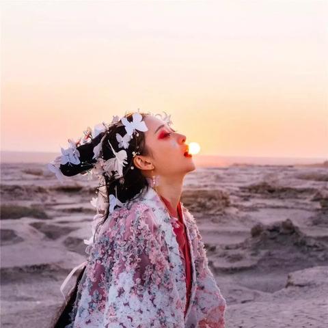 在成都王老师摄影，开启学习摄影师培训的奇妙之旅