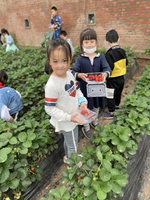 从广州到成都王老师摄影，零基础开启摄影奇妙之旅