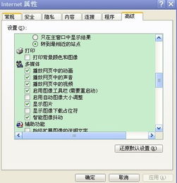 电脑上拍照软件叫什么来着