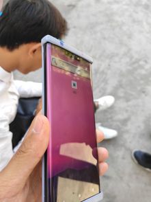 什么手机拍照最真实最清晰