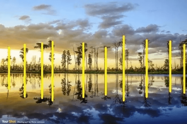 零基础？别怕！跟成都王老师摄影玩转摄影构图