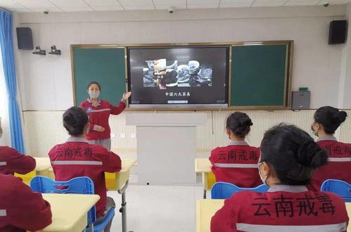 在成都王老师摄影培训，开启摄影的奇妙之旅