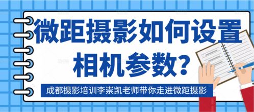 跟着成都王老师摄影,解锁摄影技能培训PPT的奇妙世界 跟着成都王老师摄影,解锁摄影技能培训PPT的奇妙世界