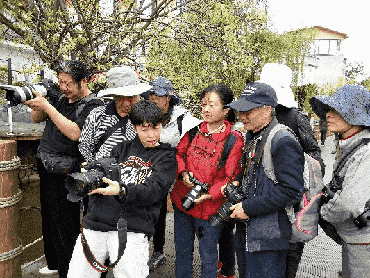 在成都王老师摄影，开启摄影学习的奇妙之旅
