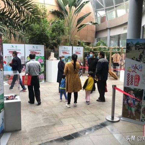 跟着成都王老师摄影,解锁西双版纳摄影培训的奇妙之旅 跟着成都王老师摄影,解锁西双版纳摄影培训的奇妙之旅
