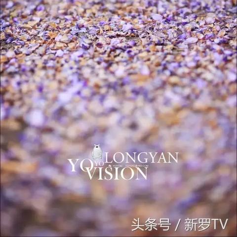 深紫色拍照打光图片纯色背景,一场光影与色彩的奇妙邂逅 深紫色拍照打光图片纯色背景,一场光影与色彩的奇妙邂逅