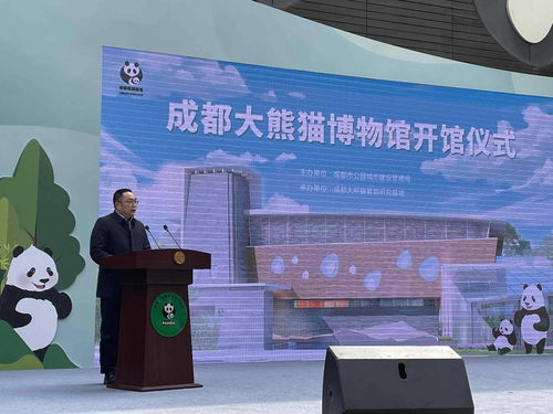 探寻成都王老师摄影培训机构，开启摄影梦想的奇妙之旅