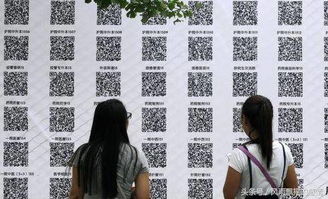 嘿，在上海找摄影班？不妨瞅瞅咱成都王老师摄影呀！