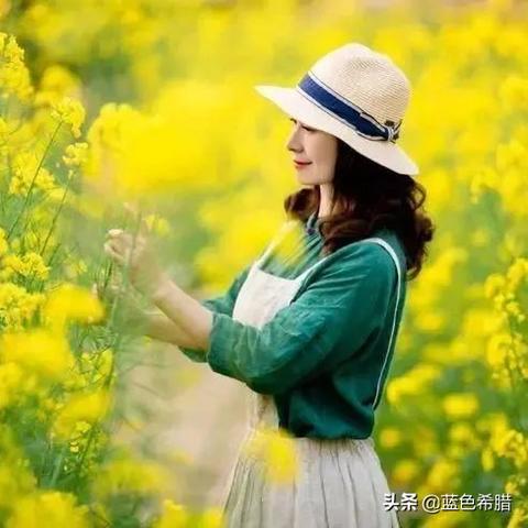 哪个相机软件拍照最好看又自然