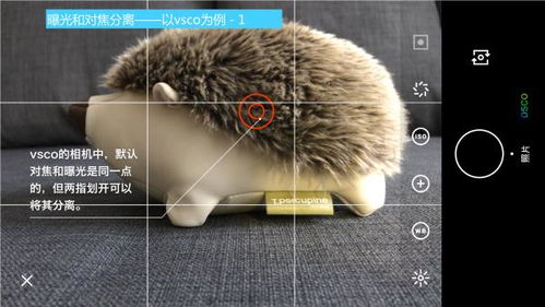 拍照技术的技巧和方法视频教程简单又好看