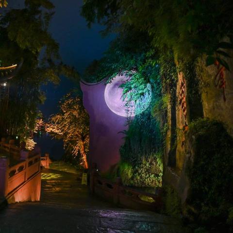 成都王老师摄影实训，一场光影交织的奇妙之旅总结