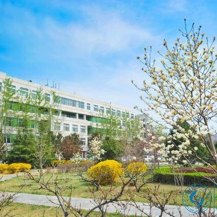 从北京理工大学摄影专业到成都王老师摄影，一场光影之旅