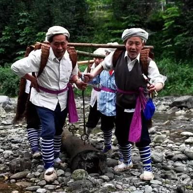 跟着成都王老师摄影，开启学习摄影拍摄的奇妙之旅