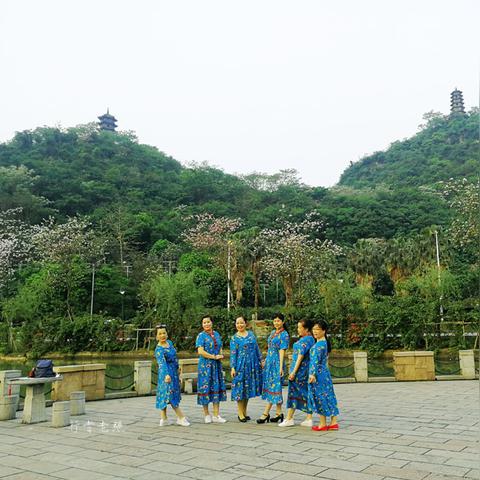拍照pose是什么意思