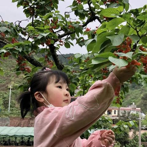 在成都王老师摄影，开启成人摄影培训班的奇妙之旅