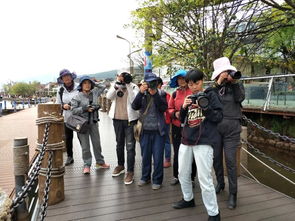 在成都王老师摄影探寻深圳拍照培训的奇妙之旅