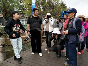 在成都王老师摄影探寻深圳拍照培训的奇妙之旅