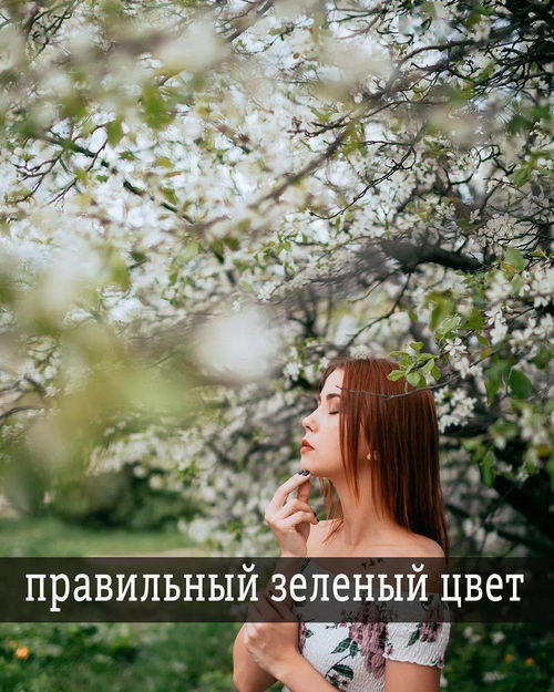 树林里拍照发朋友圈说说
