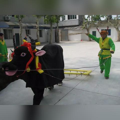 在成都王老师摄影,开启摄影摄像培训的奇妙之旅 在成都王老师摄影,开启摄影摄像培训的奇妙之旅