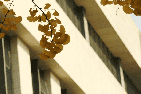 从东京大学摄影系到成都王老师摄影，一场光影的奇妙邂逅