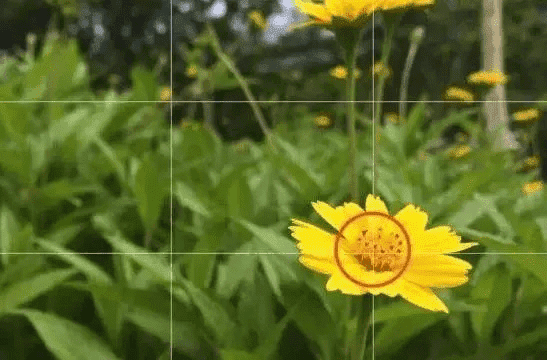 拍照9宫格构图