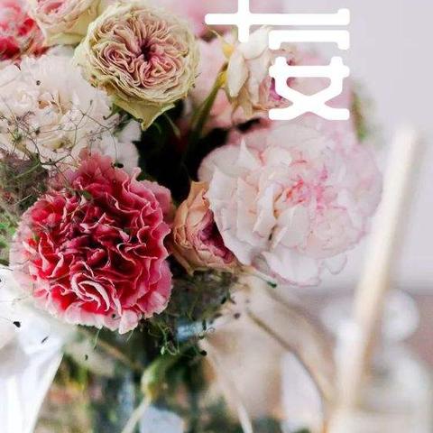 能拍照转文字的软件，摄影人的文字魔法棒