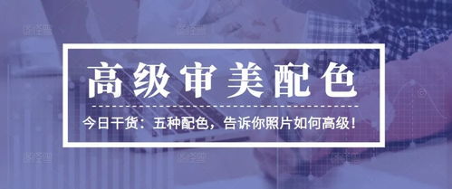 跟着成都王老师摄影，解锁摄影基础知识培训PPT的奇妙世界