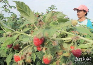 跟着成都树莓教育，叩开广美摄影专业的梦想之门