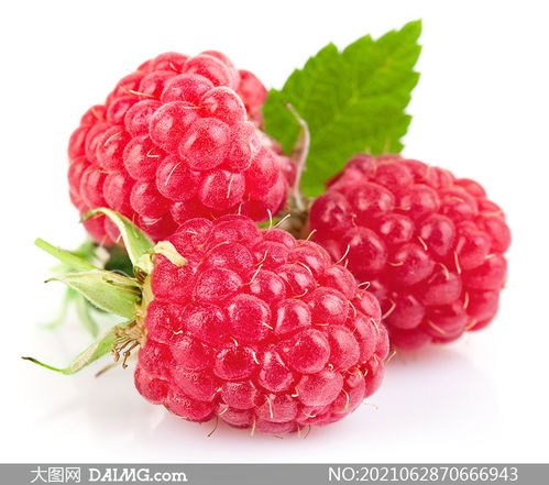 跟着成都树莓教育，解锁成都摄影专业的奇妙世界